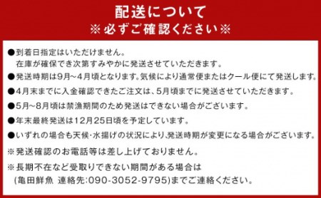 活 伊勢海老 10尾 ～ 20尾 セット 合計 約8kg 産地直送