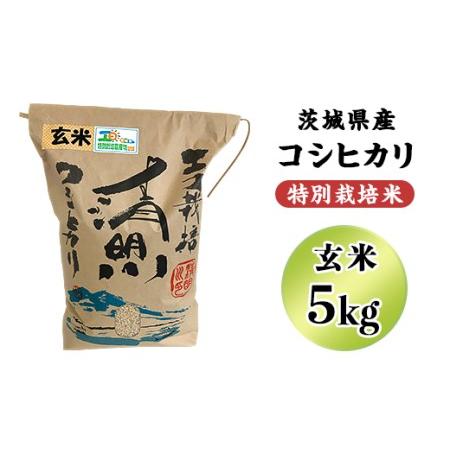 ふるさと納税 20-20茨城県産コシヒカリ特別栽培米5kg（玄米） 茨城県阿見町