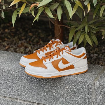 NIKE DUNK LOW “DARK CURRY"反轉咖哩黃 休閒 男鞋 FQ6965-700