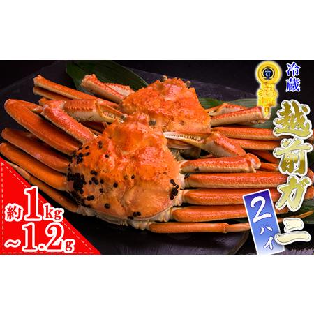 ふるさと納税 越前ガニ(約1kg〜1.2kg) 2杯 黄色タグ付 福井県南越前町