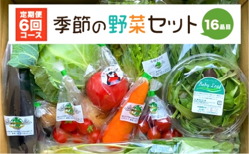  季節の野菜セット 16品目