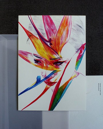 花開花落 A Time To Bloom Postcard (Red)