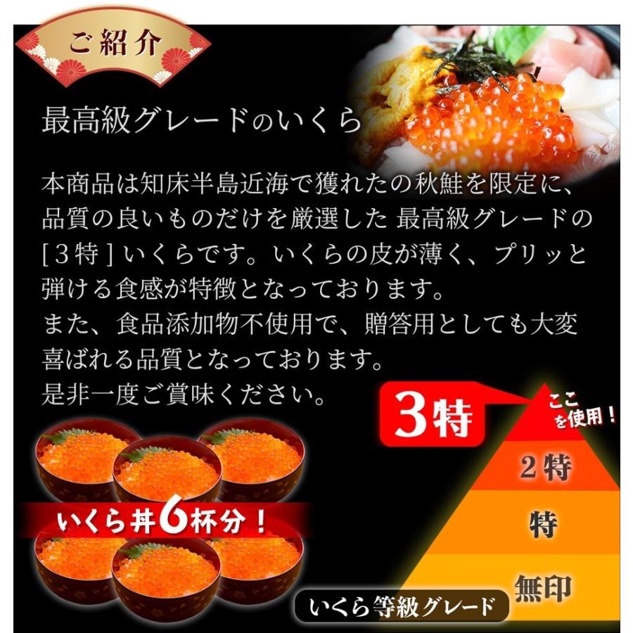 北海道産 いくら 有機醤油漬け 500g（250g×2入）2個セット 高級 イクラ 海鮮 鮭 丼 贈答品 送料無料