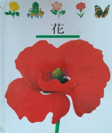 花[二手書_良好]
