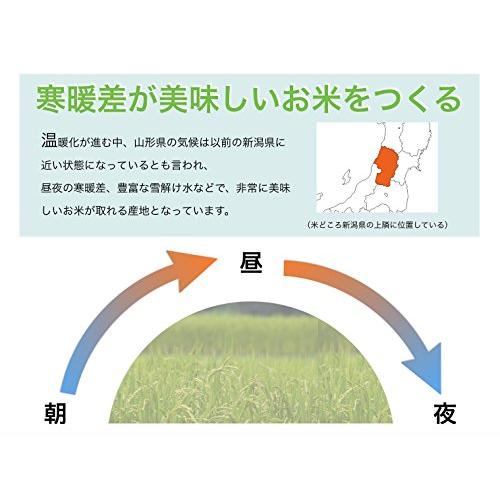  山形県産 つや姫 新米 令和5年産 10kg「お米はここまで美味しくなれました。」