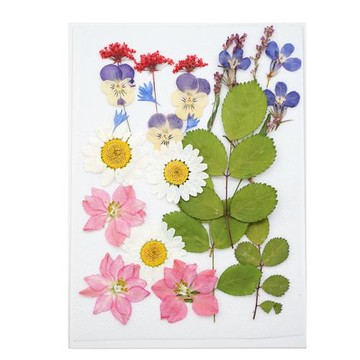 水晶滴膠手機殼素材網紅貼臉幼兒園兒童押花畫永生花真干花材料包