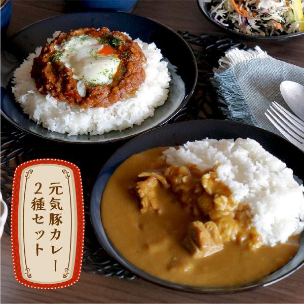 レトルト  常温保存　送料込み　「元気豚カレー2種セット　元気豚カレー200ｇ×1　＋　スパイシーキーマカレー150ｇ×1」