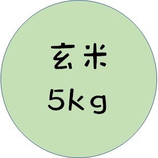 令和5年産　ひめひかり　玄米　５ｋｇ