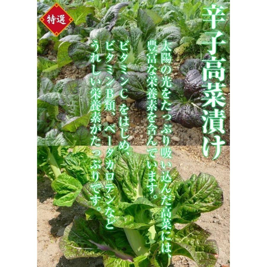 辛子高菜　本場九州産　だし醤油仕立て　高菜漬　たっぷり100g×2袋セット　※3セットで1袋プレゼント！　特産品　ラーメン　炒飯　お試しグルメギフト