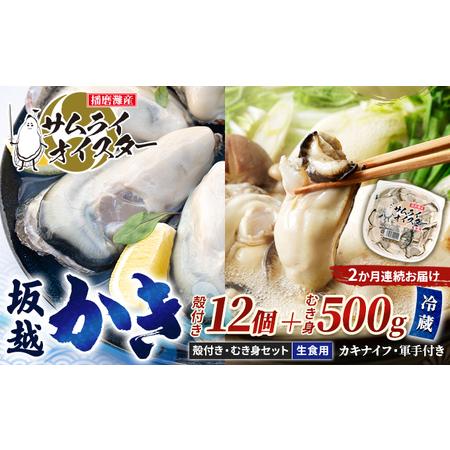 ふるさと納税 牡蠣 定期便 生食 坂越かき むき身 500g×1、 殻付き 12個(牡蠣ナイフ・軍手付き)2ヵ月連続お届け 生牡蠣 冬牡蠣 兵庫県赤穂市