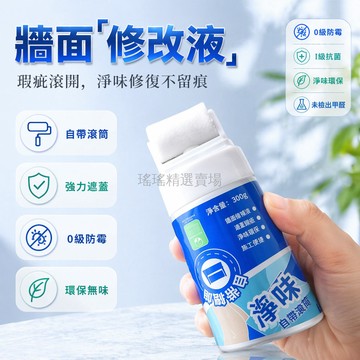 桃園出貨✨ 立邦淨味補牆漆 300g 家用白色牆面修補劑 附小滾刷噴霧修復工具套組
