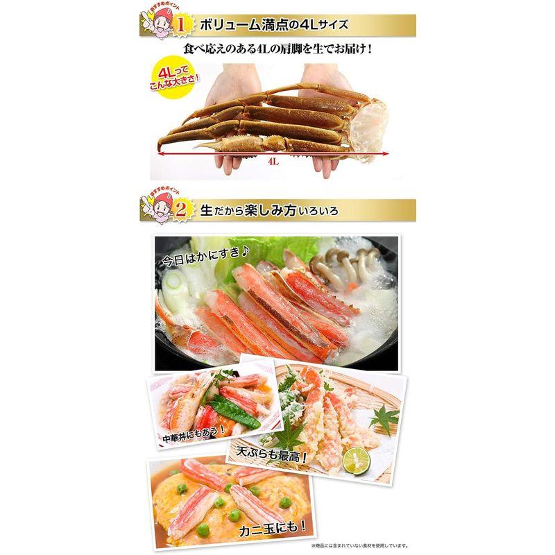 笑顔の食卓 匠｜生 ズワイガニ｜大型4L 生ずわい蟹 肩脚 7?8肩 2.5kg超