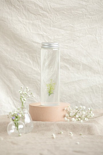 【狐尾藻水草】 療癒系水生植物 植物長大後可以修剪換瓶