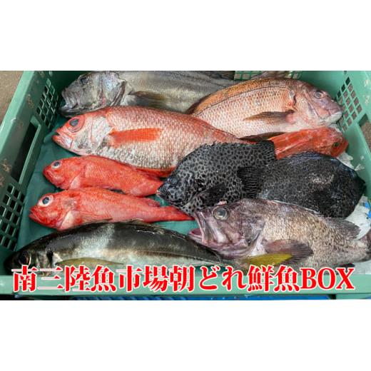 ふるさと納税 宮城県 南三陸町 南三陸朝どれ鮮魚BOXプレミアム