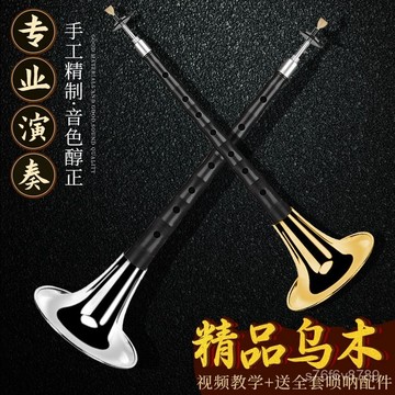 獨家正品🔥嗩吶 嗩吶為王 嗩吶樂器 烏木 專業者 初學者 烏木嗩吶樂器全套CEFGD調初學者老專業兒童大小號喇叭紅木民間