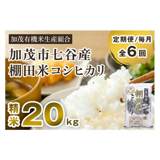 ふるさと納税 新潟県 加茂市 新潟県加茂市 七谷産 棚田米コシヒカリ 精米20kg（5kg×4）白米 加茂有機米生産組合