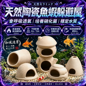 【現貨】魚兒躲避屋 陶瓷產卵洞 蝦屋窩 躲避洞 魚缸造景 蝦罐躲藏屋 水族裝飾造景 烏龜 孔雀魚 小魚小蝦 產卵繁殖罐