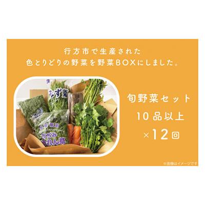 ふるさと納税 行方市 野菜王国なめがたの旬野菜の定期便全12回　CU-130