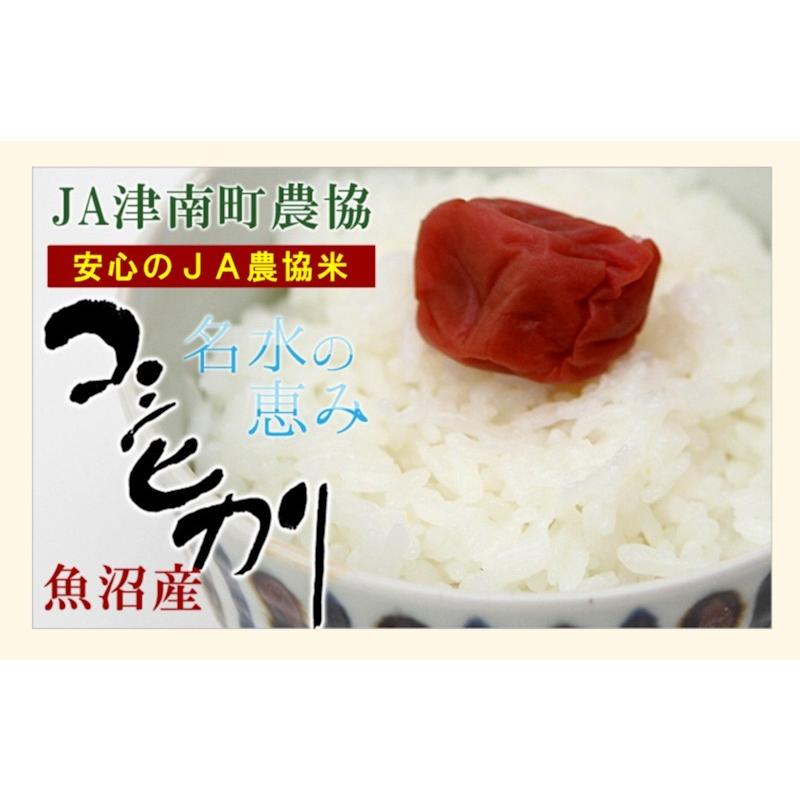 令和５年産新米 コシヒカリ 30kg 特Ａ地区 魚沼産  新潟県 中魚沼 JA津南町農協 産地限定 名水の恵 送料無料