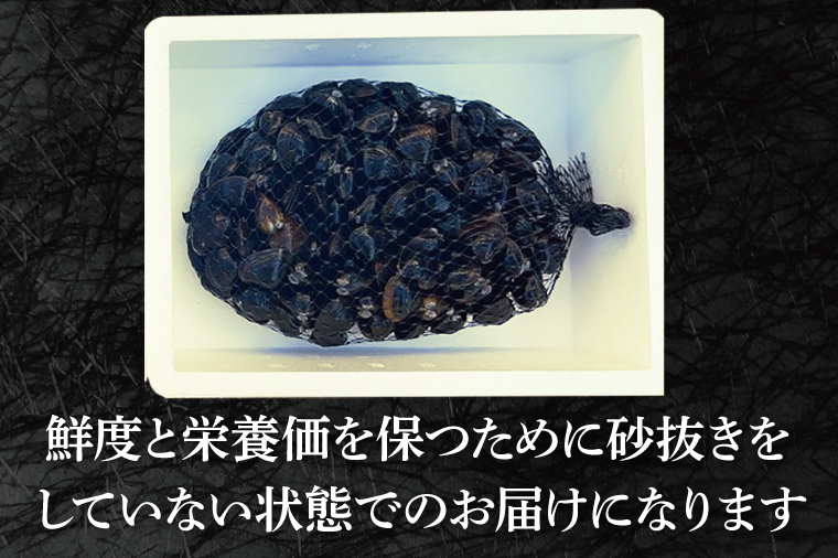 涸沼産 大粒 シジミ 1kg しじみ 蜆 大和しじみ ヤマトシジミ 大玉 冷蔵 味噌汁 スープ 魚貝類 貝 オルニチン コハク酸 魚介類