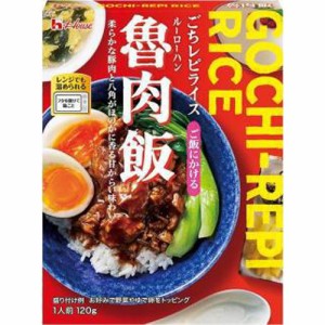 ハウス ごちレピライス 魯肉飯 120g×10入