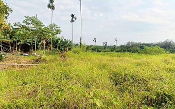 白河區千坪漂亮農場風景美重劃農地｜台南市白河區竹子門段