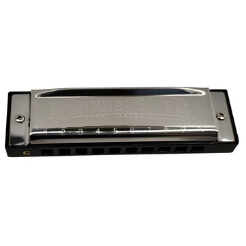 Swan 天鵝牌 民謠口琴 10孔 20音 C調 含銀簧片 附原配琴盒  1個