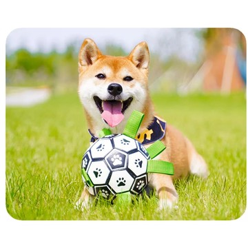 【汪喵森活】 足球玩具 送打氣筒 寵物玩具 狗玩具 大狗玩具 耐磨耐咬 寵物戶外玩具 寵物互動玩具 球球玩具 法鬥 柴犬
