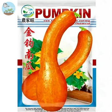 【原廠包裝】金鉤南瓜種子（Golden Hook Pumpkin）25粒裝  日本引種 香甜綿密 家庭菜園 陽台盆栽