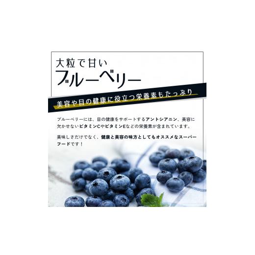 ふるさと納税 秋田県 男鹿市  冷凍ブルーベリー500g×2ハ゜ック（合計1kg）