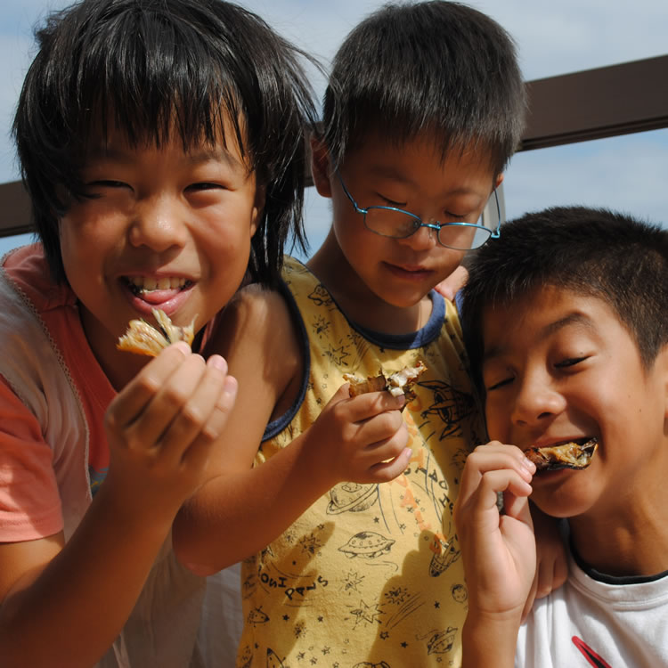 豆アジ干物5枚真空パック--頭から丸ごと食べられる小さな真アジの干物です!