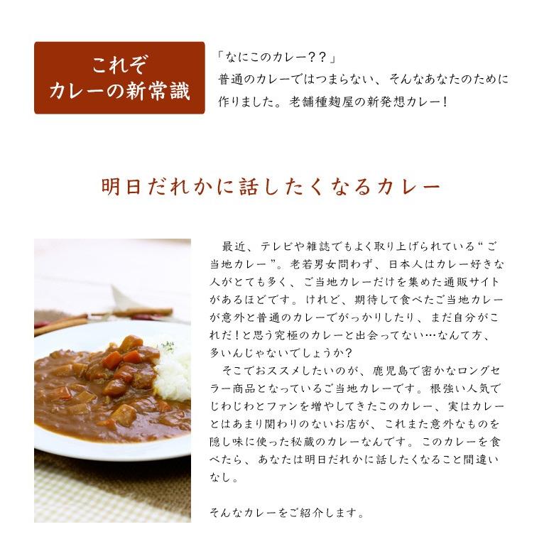 プレゼント　種麹屋がつくる本格派カレー　鹿児島　ご当地カレー