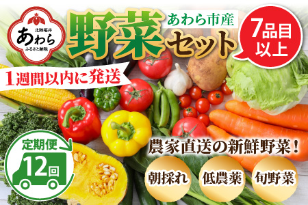 農家直送 旬の野菜セット 7品目以上 1箱 ／ 定期便 12回 季節 野菜 ボックス BOX セット セレクト 農家 おまかせ 多品目 旬 詰め合わせ 根菜 葉物