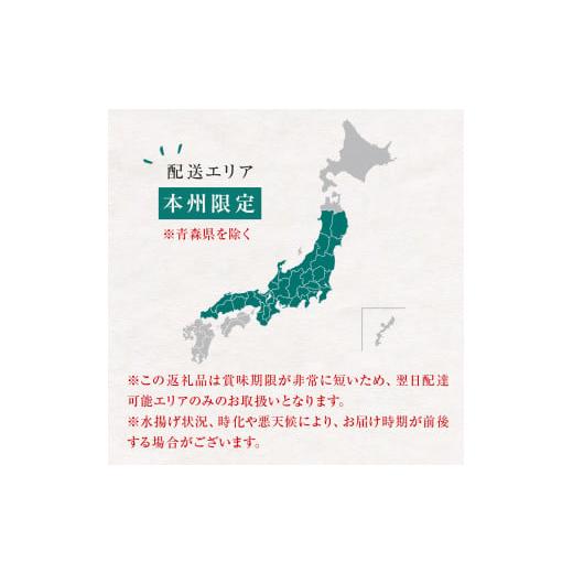 ふるさと納税 富山県 氷見市 氷見いわし　とろ生いわし3kg ＜2月以降発送予定＞　産地直送便 富山県 氷見市 鰯 イワシ 冷蔵 …