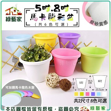 【綠藝家】5吋馬卡龍彩盆 (共6色可選) 白色//粉藍/粉紅/粉綠/粉紫/黃 花盆 盆栽 馬卡龍色