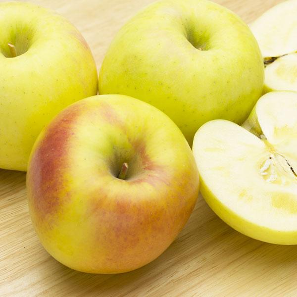 りんご 青森県産 ぐんま名月5kg 訳あり 林檎 リンゴ お取り寄せ フルーツ 果物 アップル 家庭用(傷あり) 青森県産 ぐんまめいげつリンゴ 送料無料