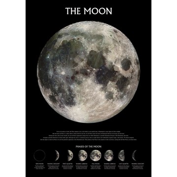 The Moon 月相盈虧 - 英國進口科學教育海報