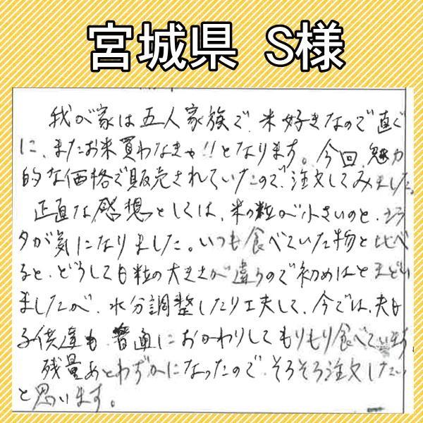 米 10kg 送料無料 国内産 ひかり精米 白米 ブレンド米 家庭応援