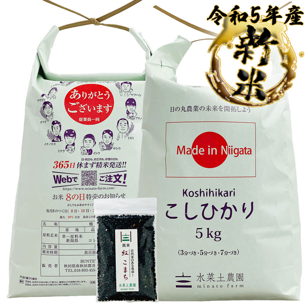 新米 こしひかり 精米 10kg 新潟県産 令和5年産　古代米付き