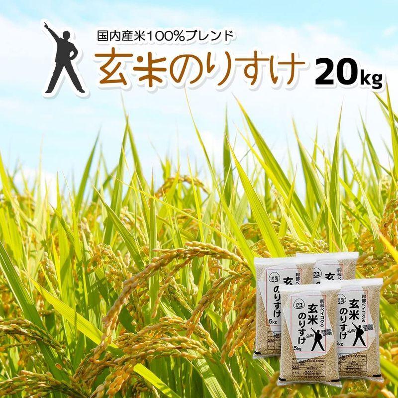 玄米 20kg (5kgx4袋) 玄米のりすけ 国内産100％