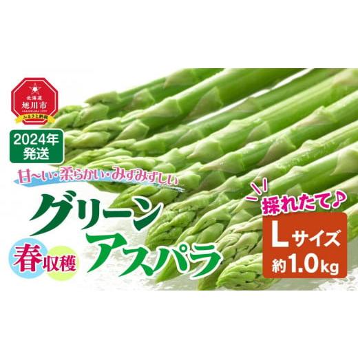 ふるさと納税 北海道 旭川市 春収穫グリーンアスパラ Lサイズ 1kg(2024年6月上旬〜発送開始予定)