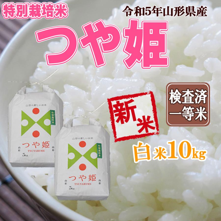 令和5年産 新米 送料無料 山形県産 つや姫 白米 5kg×2 十キロ お米 10キロ おこめ 白米 はくまい 10kg