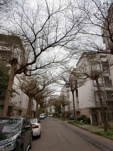 楊梅幼獅旁典雅花園別墅｜桃園市楊梅區青山一街