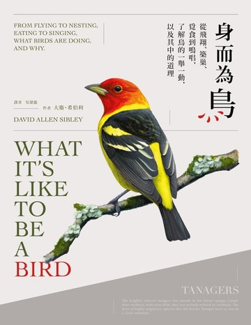 【電子書】身而為鳥：從飛翔、築巢、覓食到鳴唱，了解鳥的一舉一動，以及其中的道理