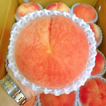 [秋果寄情]【帕查嬤嬤】 🇯🇵日本 山梨 加納岩 幸茜 水蜜桃 2玉禮盒 🍑｜中秋節水蜜桃禮盒