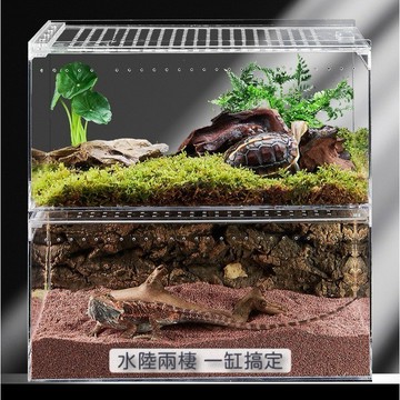 台灣現貨 免運🔥壓克力爬蟲飼養盒 一體式爬蟲飼養箱 守宮飼養盒 角蛙飼養盒 蛇 烏龜飼養盒 蜘蛛 磁吸飼養盒 高透飼養箱