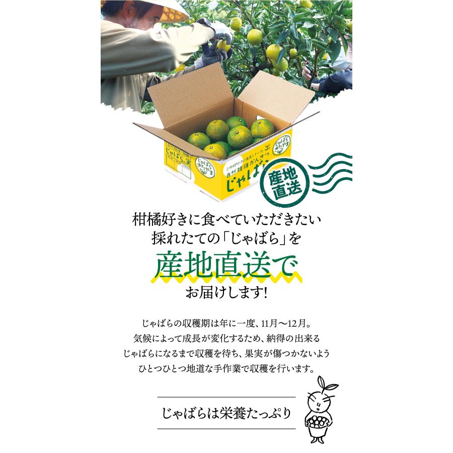 じゃばら果実(10kg)×1箱 花粉 じゃばらの産地 北山村公式ショップ ナリルチン 無添加