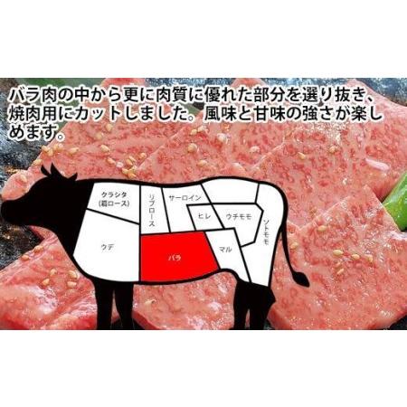 ふるさと納税 土佐和牛A5特選カルビ焼肉500g　牛肉　和牛A5ランク 高知県高知市