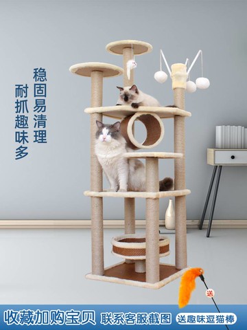 大型爬架貓網紅不占地貓爬架貓窩麻藤貓架貓樹一體貓咪貓抓板/柱
