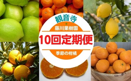 みかん レモン 定期便 10回 フルーツ フジカワ果樹園オリジナル（季節の柑橘セット） 果物